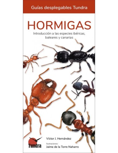 Guias Desplegables Tundra - Hormigas