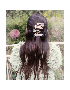 Clips Ranita 2