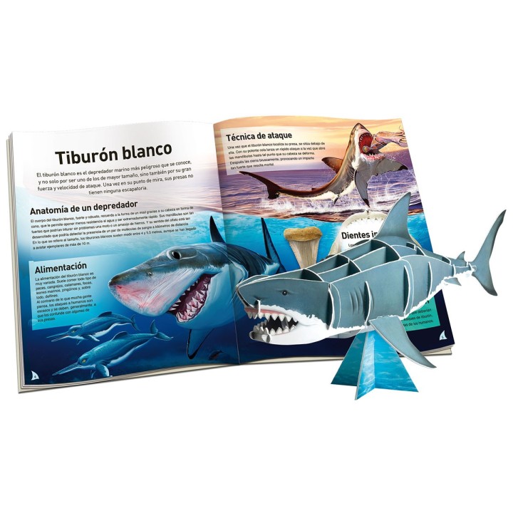 Megamaqueta - Tiburón