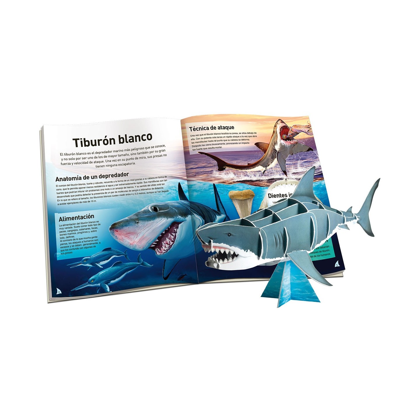 Megamaqueta - Tiburón
