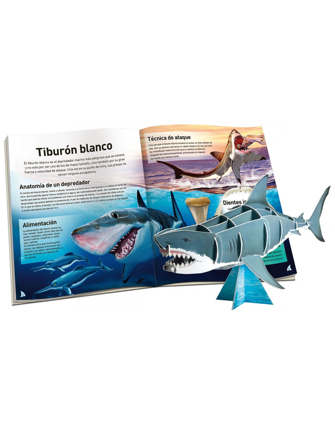Megamaqueta - Tiburón