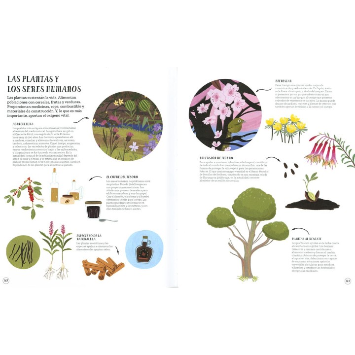 Un mundo de plantas