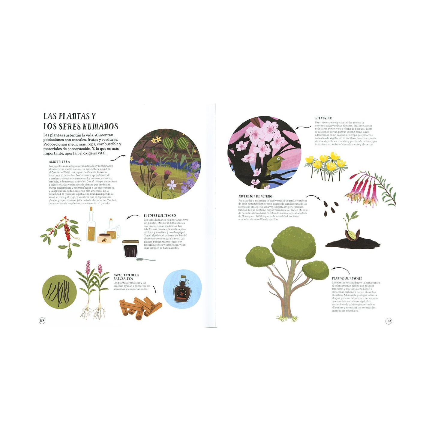 Un mundo de plantas