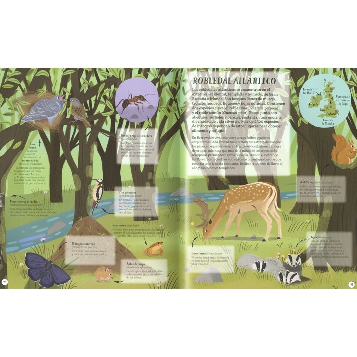 Un mundo de animales