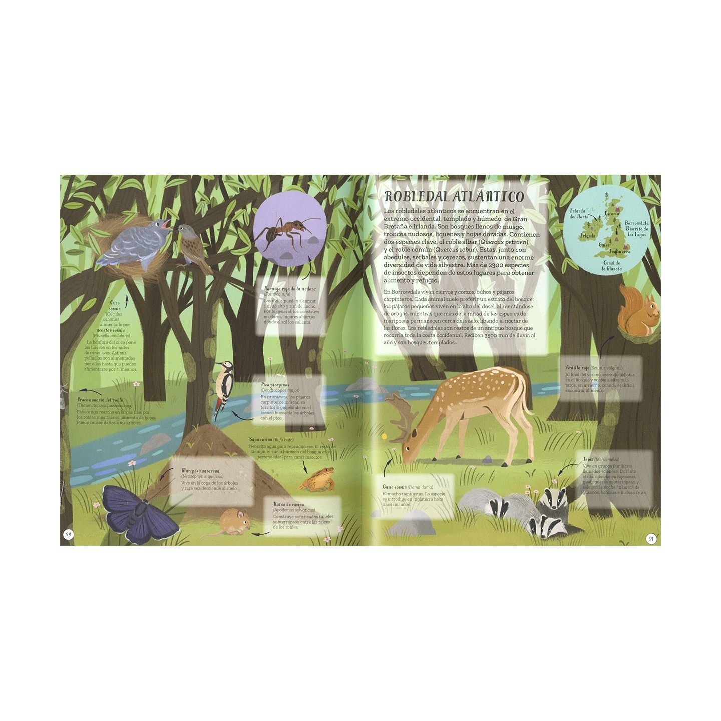 Un mundo de animales