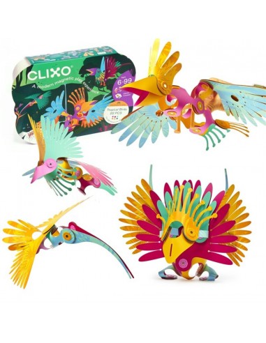 Clixo Tropical Birds Pack 22 Piezas