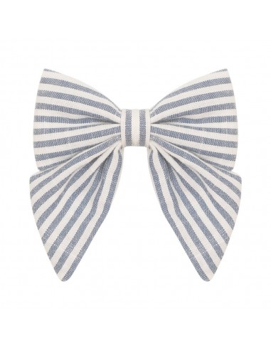Clip Lazo Seaside Stripe