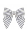 Clip Lazo Seaside Stripe