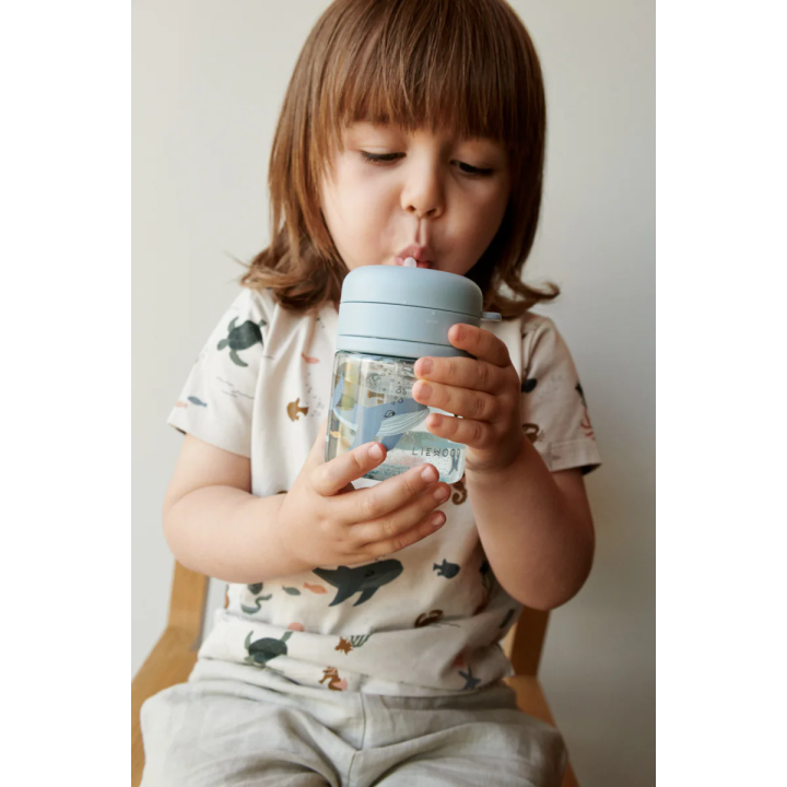 Vaso con Pajita 280 ml Dinosaurs