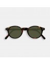 Gafas de Sol Adulto H Tortoise Green Lenses