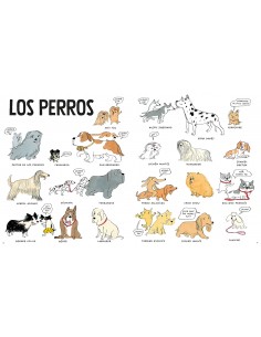 TODO TODO sobre los perritos 2