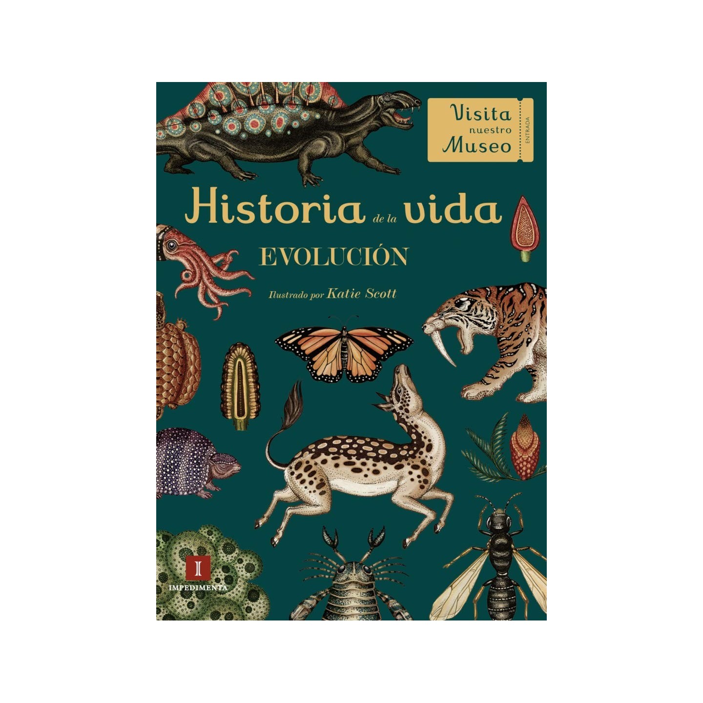 Historia de la vida