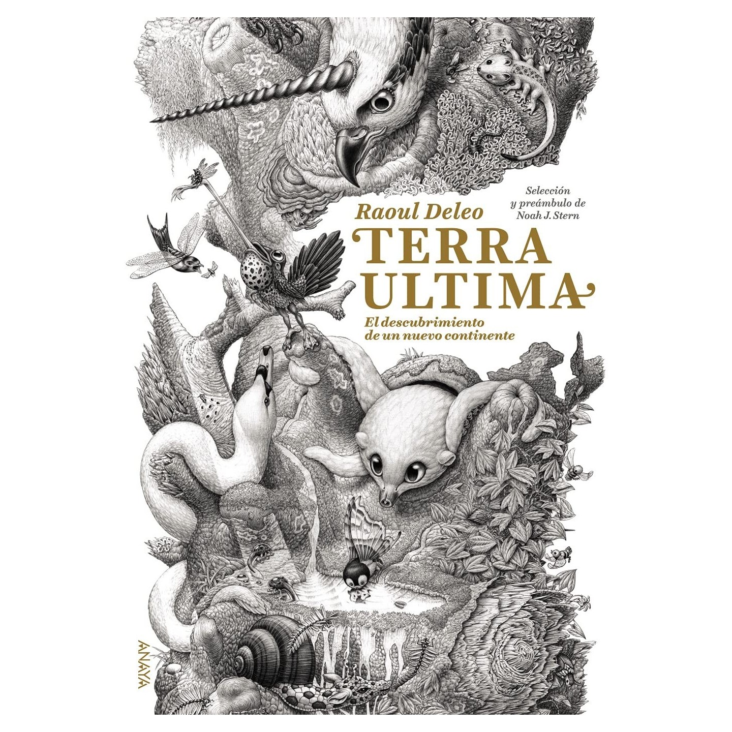 Terra Ultima: El descubrimiento de un nuevo continente