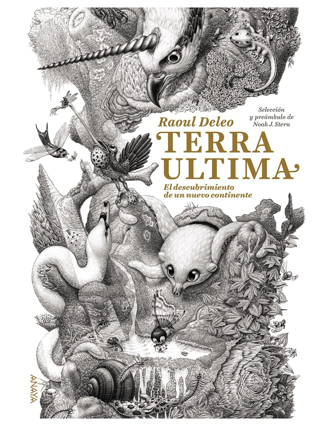 Terra Ultima: El descubrimiento de un nuevo continente