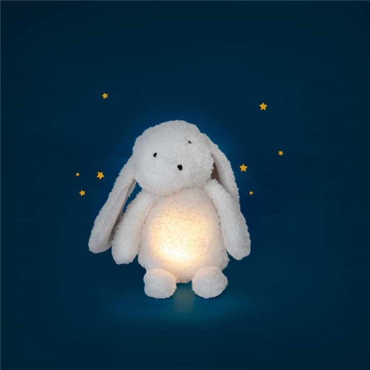 Conejo Luminoso Puce & Pilou