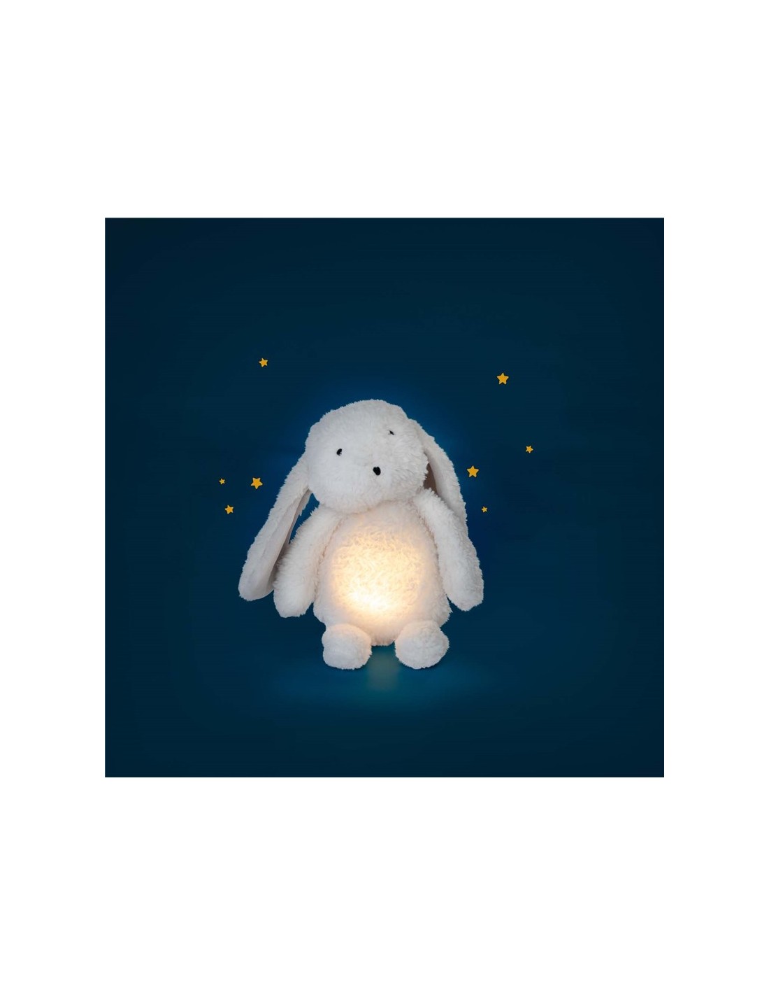 Conejo Luminoso Puce & Pilou