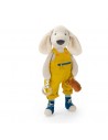 Gran Perro Pilou de Actividades