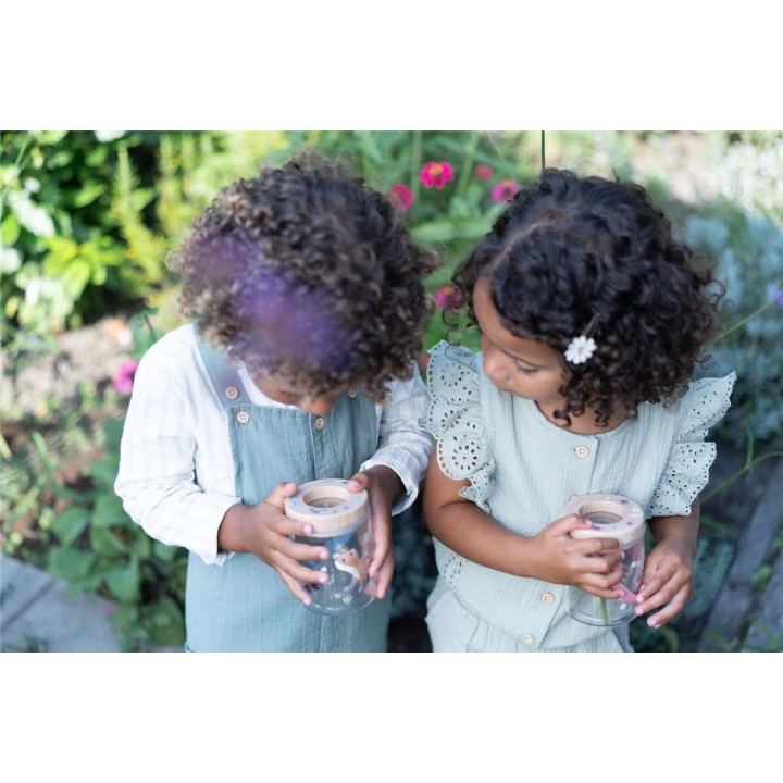 Tarro Visor Insectos Fairy Garden