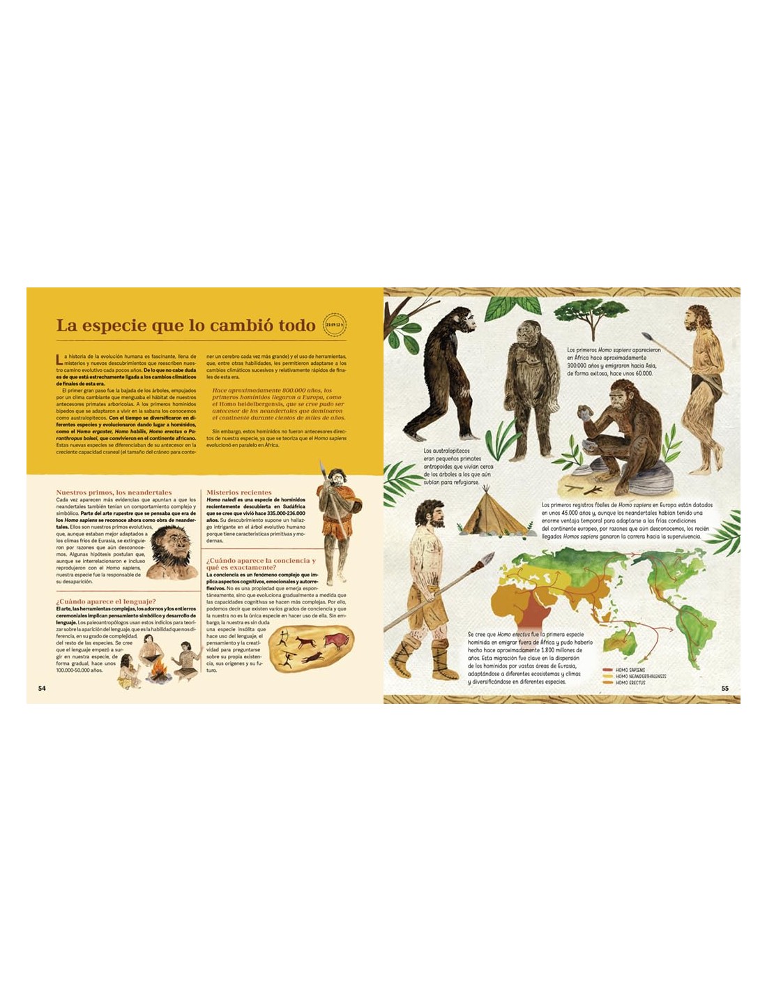 La historia más fascinante del mundo