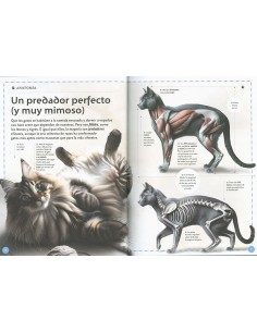 El magnífico libro de los gatos 2