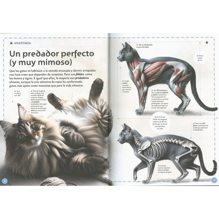 El magnífico libro de los gatos