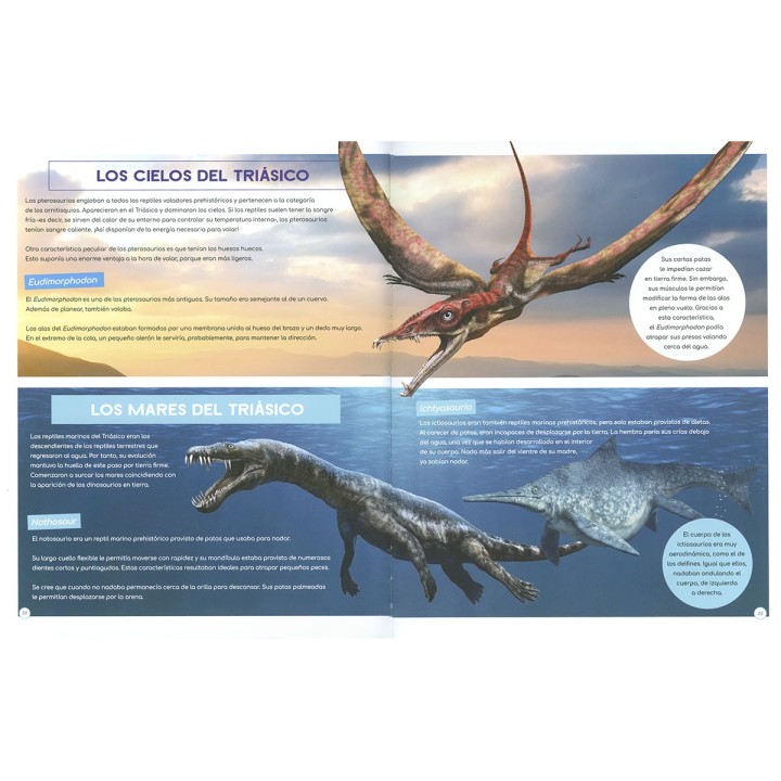 Descubre los Dinosaurios