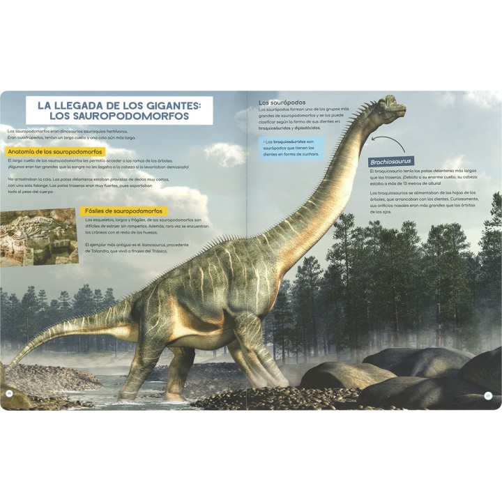 Descubre los Dinosaurios