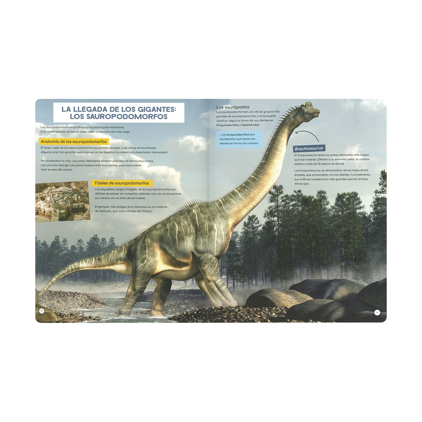 Descubre los Dinosaurios