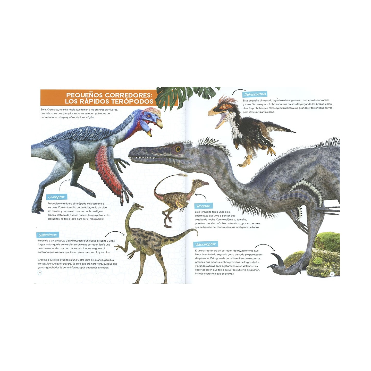 Descubre los Dinosaurios