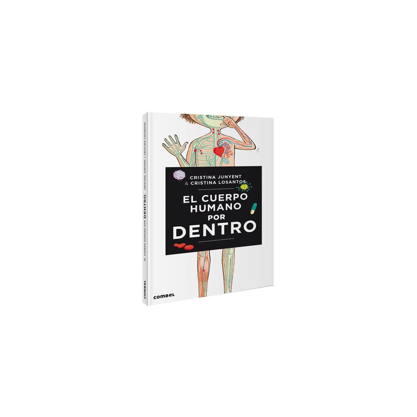 El cuerpo humano por dentro