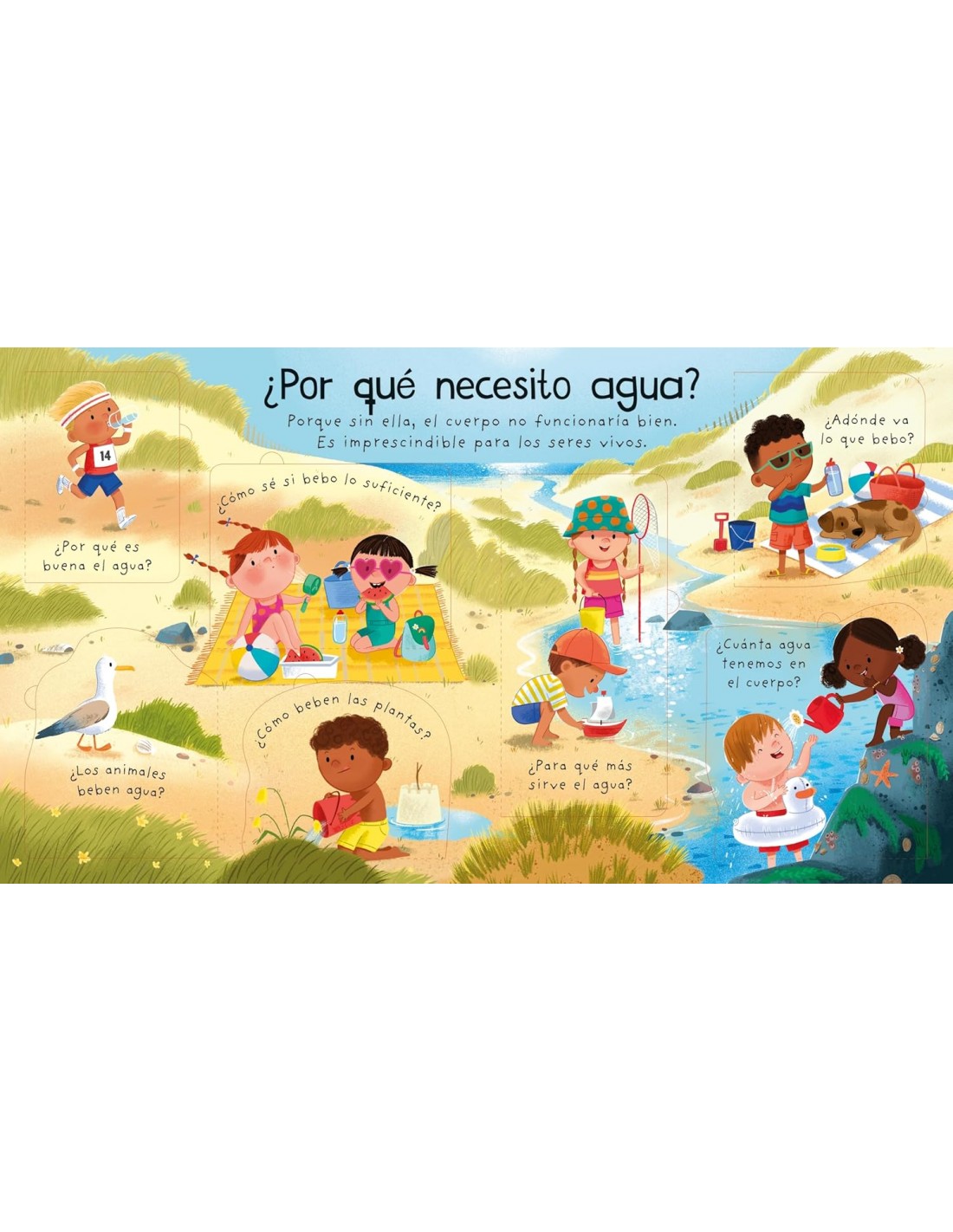 Mis primeras preguntas ¿De dónde sale el agua?