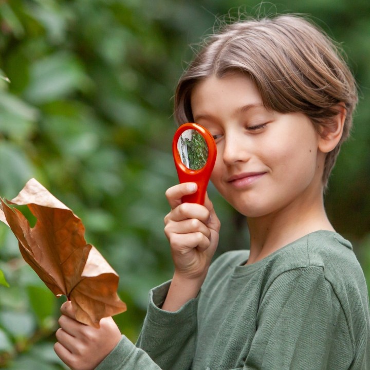 Lupa Explorer