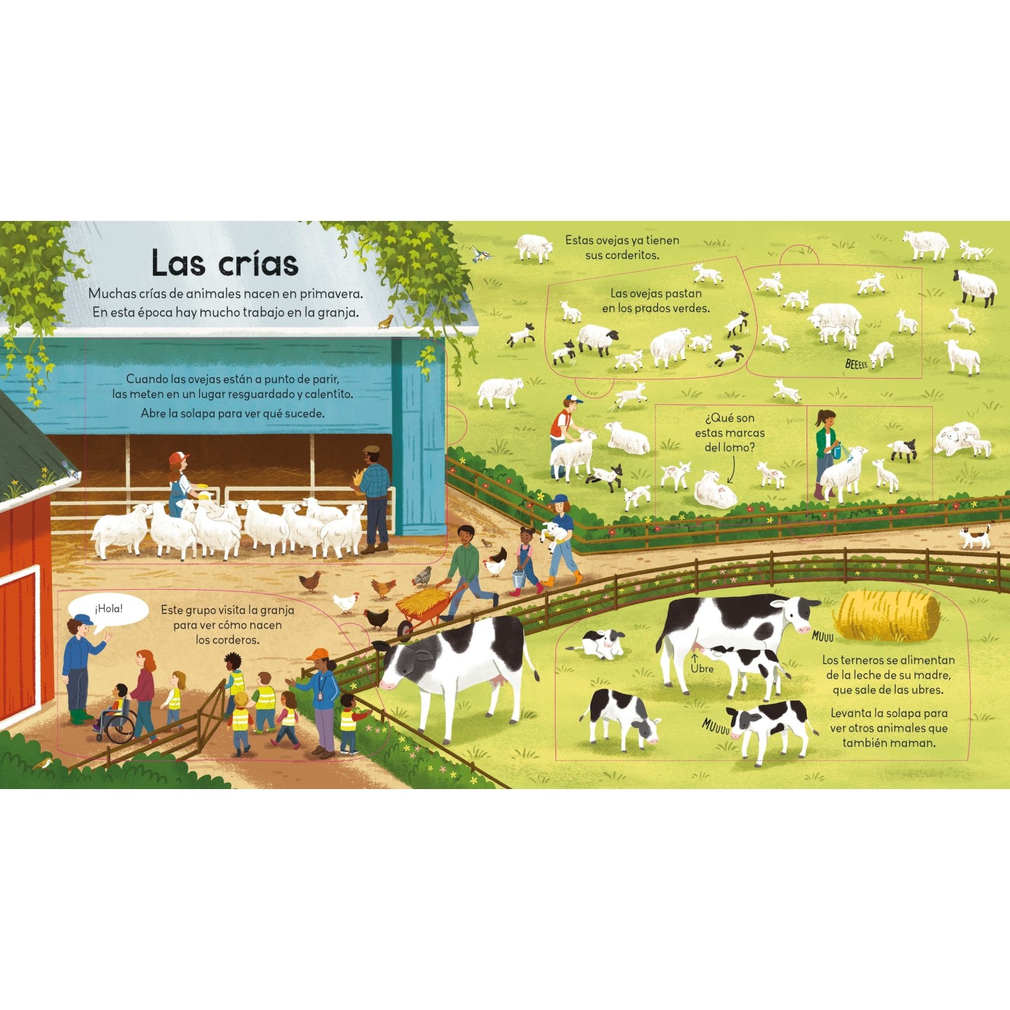 ¡Mira debajo! Una granja