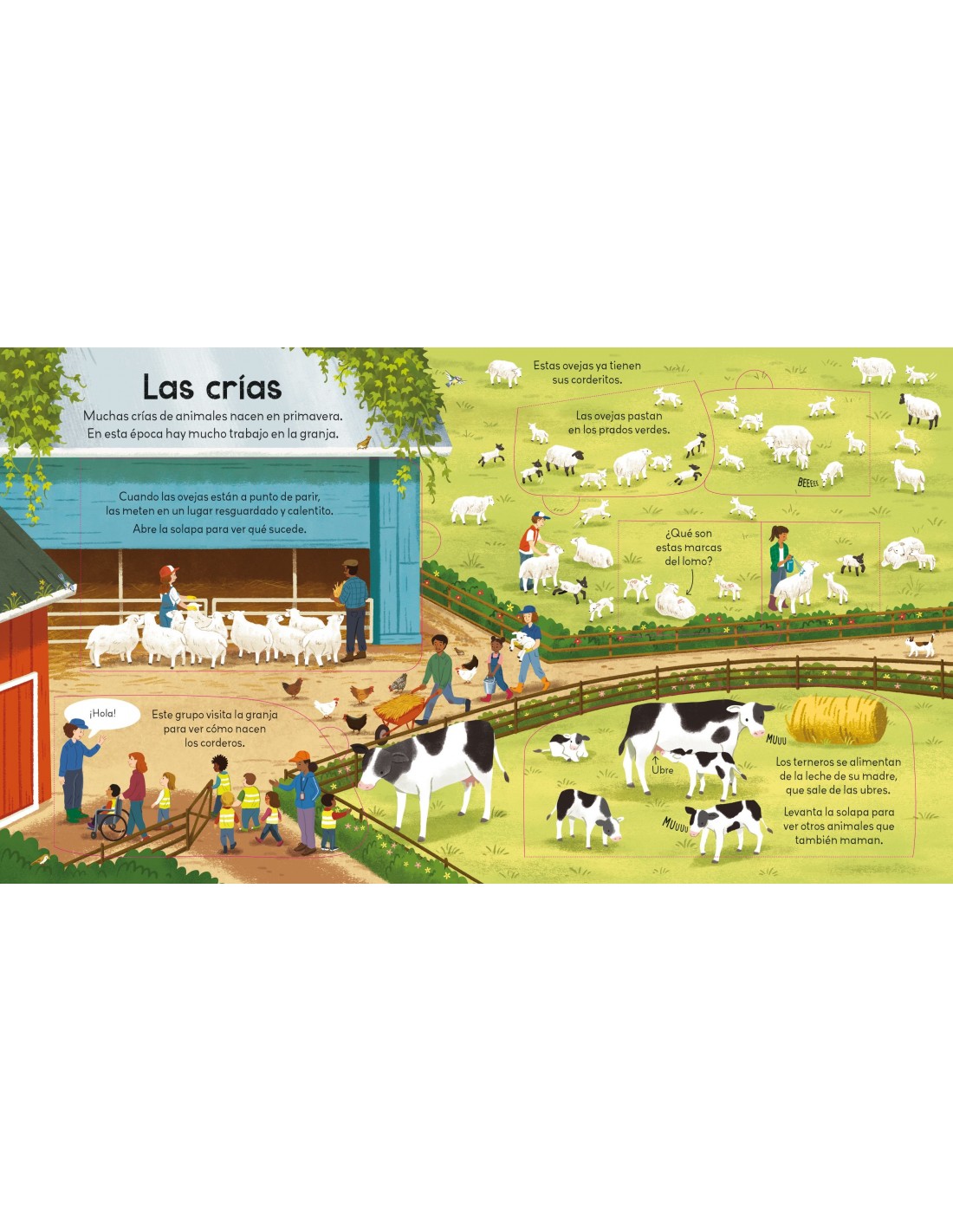 ¡Mira debajo! Una granja