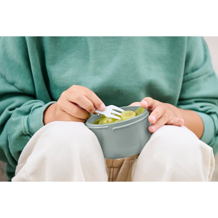 Caja Fruta Campus Stitch