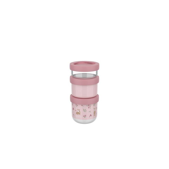Set 3 Cajas Snack Apilable Fairy Garden