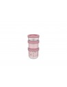 Set 3 Cajas Snack Apilable Fairy Garden