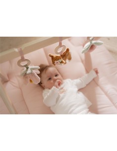 Baby Gim con Juguetes Fairy Garden 2