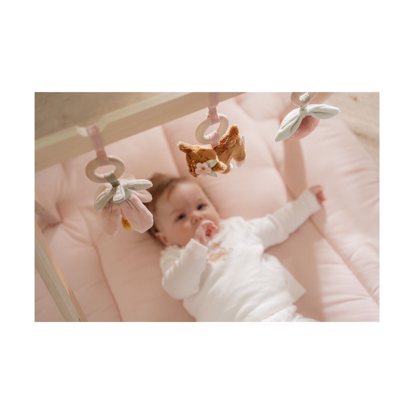 Baby Gim con Juguetes Fairy Garden