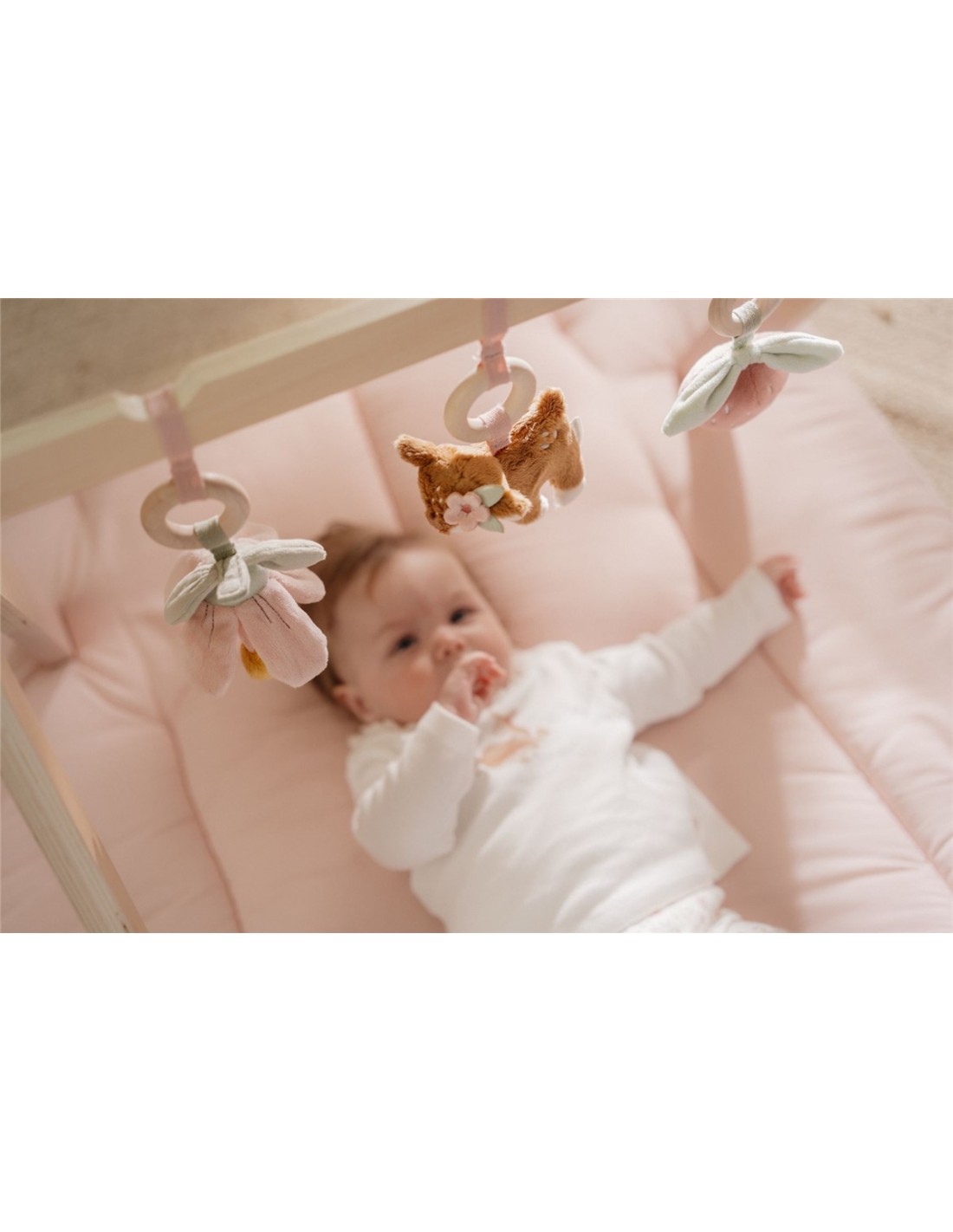 Baby Gim con Juguetes Fairy Garden