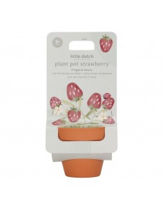 Maceta Planta Fresas