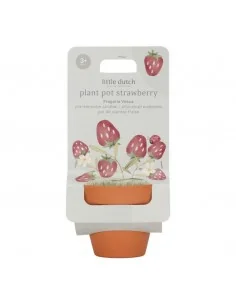 Maceta Planta Fresas