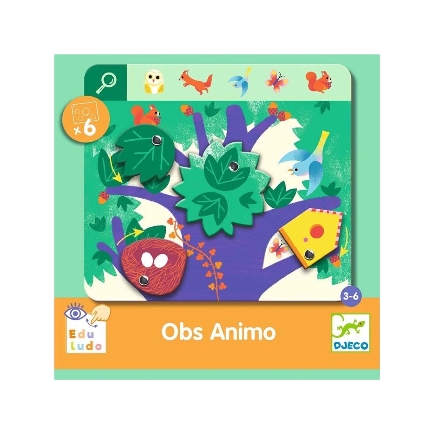 Eduludo Obs Animo