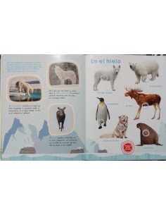 Libro Animales Salvajes y Sonidos 2