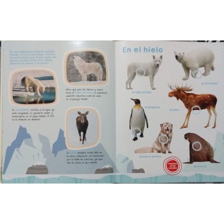 Libro Animales Salvajes y Sonidos