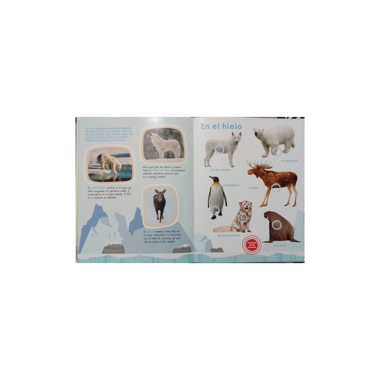 Libro Animales Salvajes y Sonidos