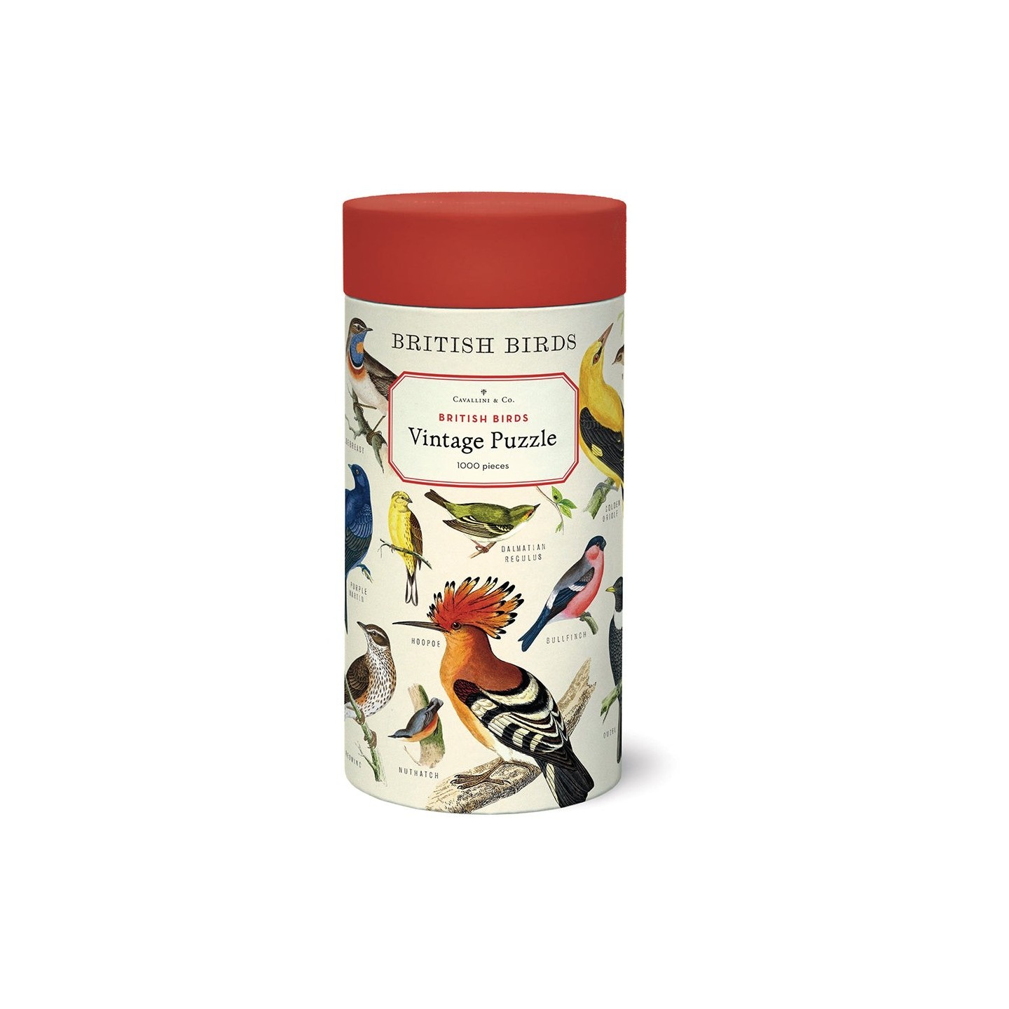 Puzle Aves Británicas 1000 Piezas