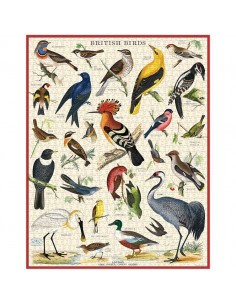 Puzle Aves Británicas 1000 Piezas 2