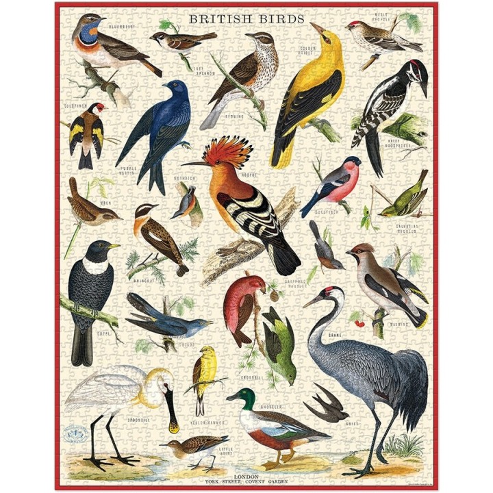 Puzle Aves Británicas 1000 Piezas