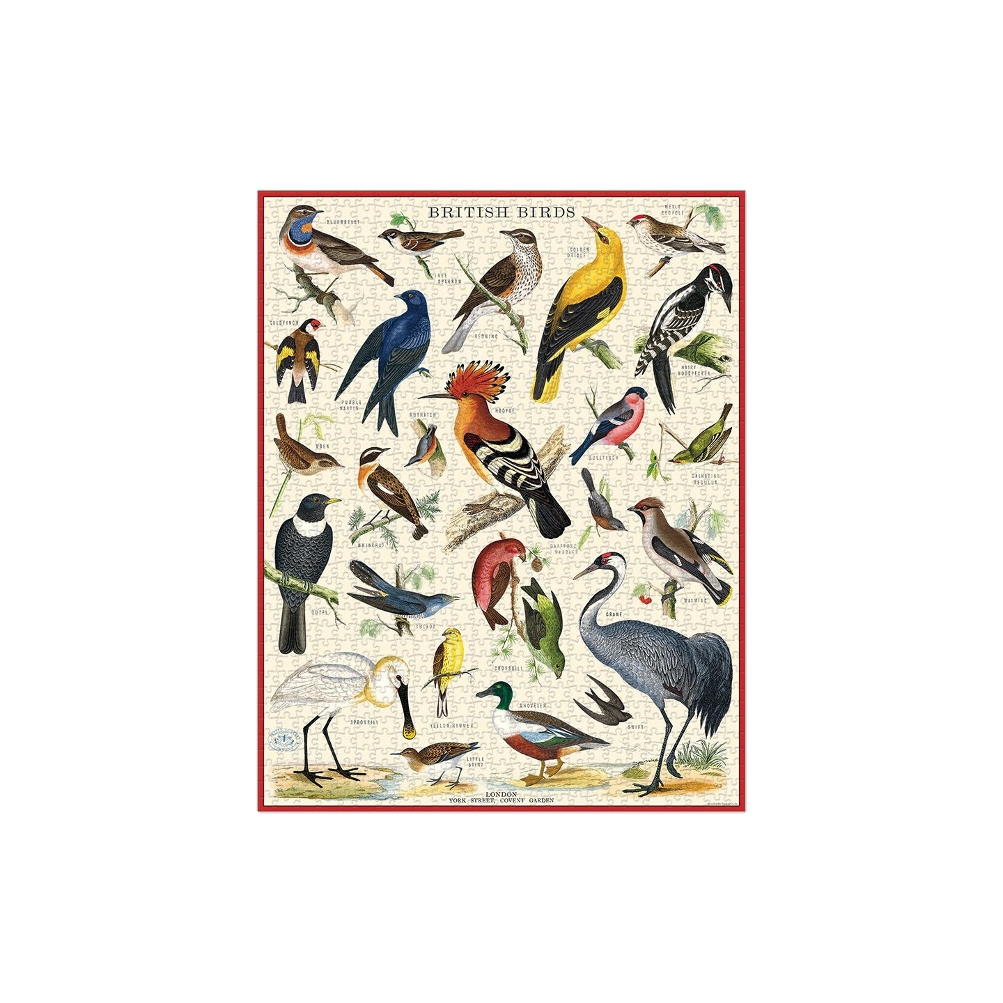 Puzle Aves Británicas 1000 Piezas